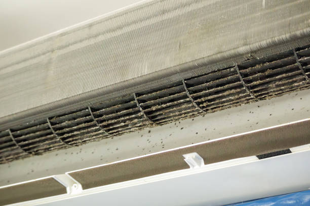 Best Local Air Duct Cleaning Services  in Kenly, NC