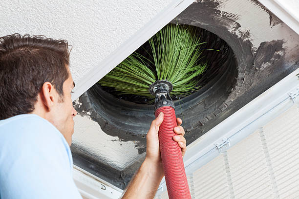 Best Air Duct Cleaning Near Me  in Kenly, NC